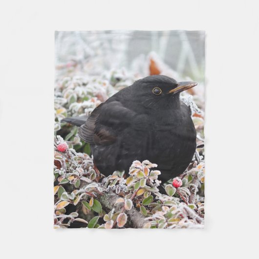 Winter Blackbird Fleecedecke (Vorderseite)
