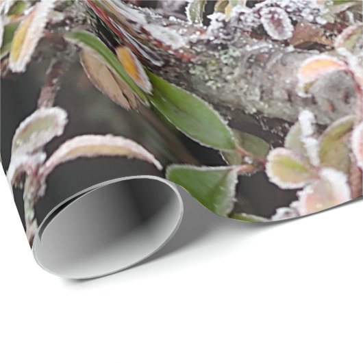 Winter Blackbird Geschenkpapier (Rolleneckpunkt)