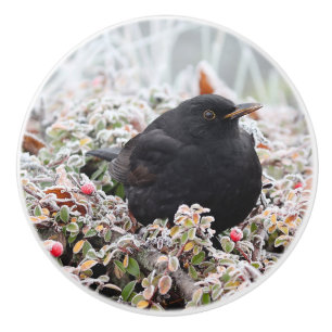 Winter Blackbird Keramikknauf