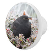 Winter Blackbird Keramikknauf (Rechts)