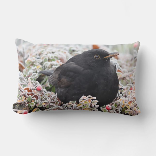 Winter Blackbird Lendenkissen (Vorderseite)