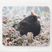 Winter Blackbird Mousepad (Vorne)