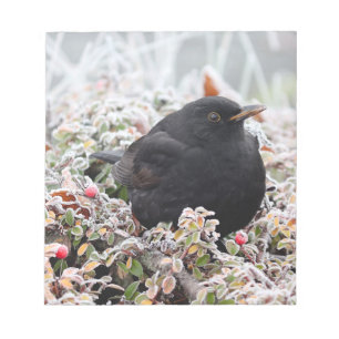 Winter Blackbird Notizblock