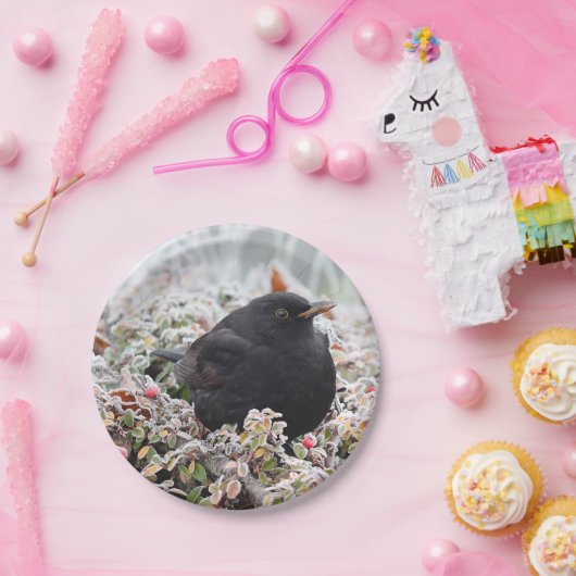 Winter Blackbird Pappteller (Party)