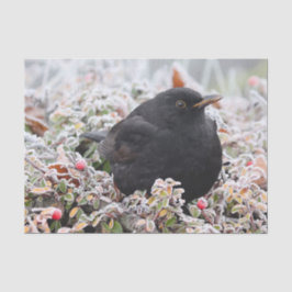 Winter Blackbird Seidenpapier