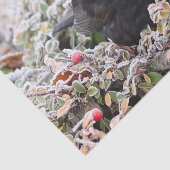 Winter Blackbird Seidenpapier (Ausschnitt)