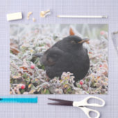 Winter Blackbird Seidenpapier (Handwerk)