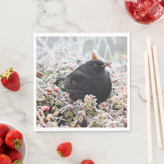 Winter Blackbird Serviette (Beispiel)