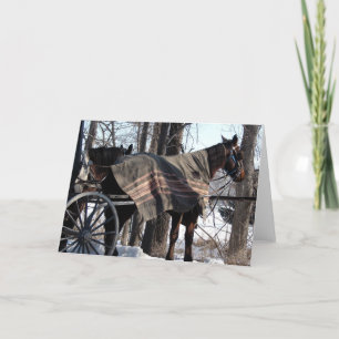 Winter Blanket Karte