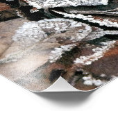 WINTER-BLÄTTER FOTODRUCK (Ecke)