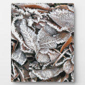 WINTER-BLÄTTER FOTOPLATTE (Vorderseite)