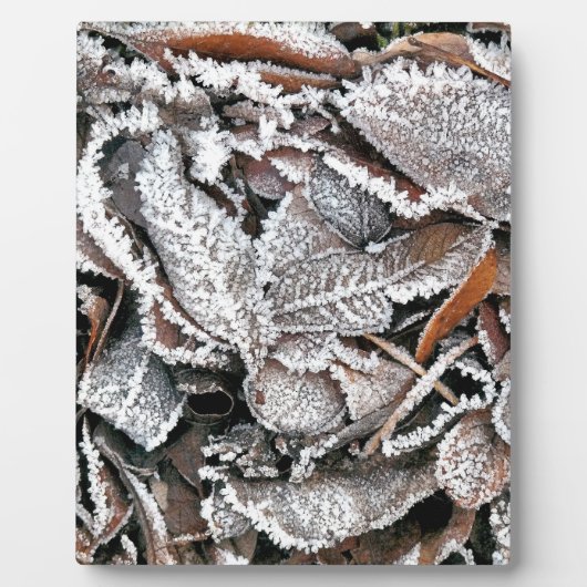 WINTER-BLÄTTER FOTOPLATTE (Vorderseite)