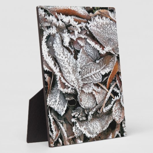 WINTER-BLÄTTER FOTOPLATTE (Seite)