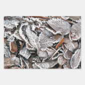 WINTER-BLÄTTER GESCHENKPAPIER SET (Vorderseite 2)