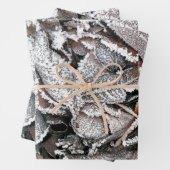 WINTER-BLÄTTER GESCHENKPAPIER SET (Beispiel)