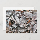 WINTER-BLÄTTER POSTKARTE (Vorne/Hinten)