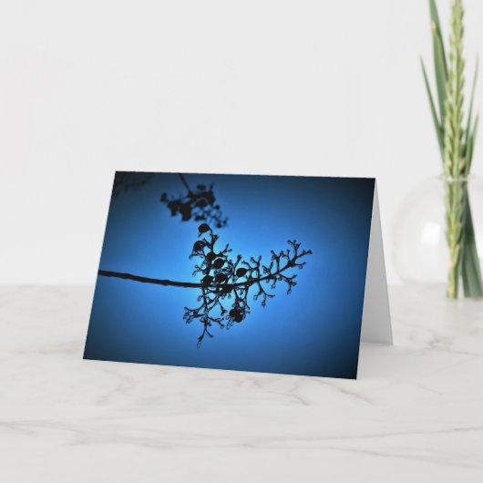 Winter Blau, Karte (Vorderseite)