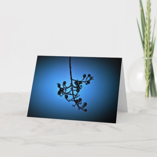 Winter Blau, Karte (Vorderseite)