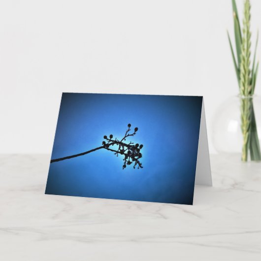 Winter Blau, Karte (Vorderseite)