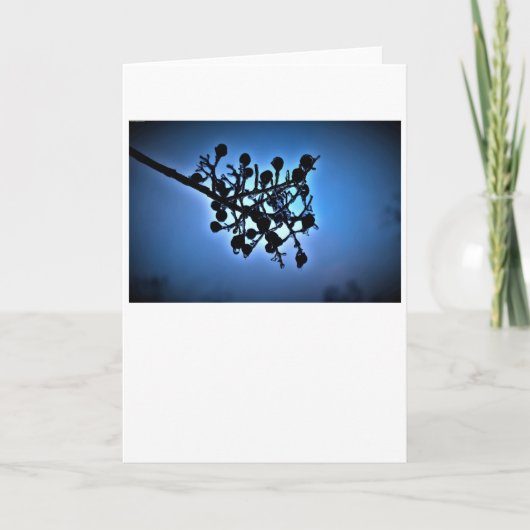 Winter Blau, Karte (Vorderseite)