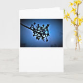 Winter Blau, Karte (Gelbe Blume)