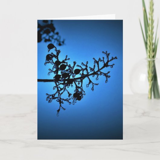 Winter Blau, Karte (Vorderseite)
