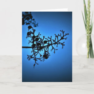 Winter Blau, Karte