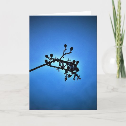 Winter Blau, Karte (Vorderseite)