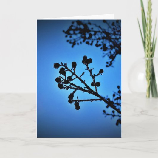 Winter Blau, Karte (Vorderseite)