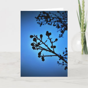 Winter Blau, Karte