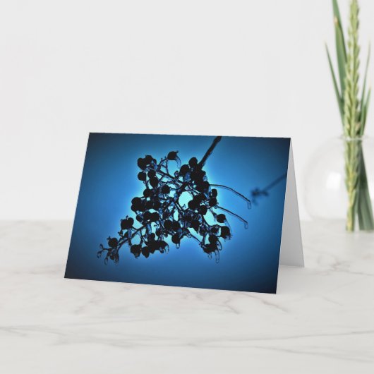 Winter Blau, Karte (Vorderseite)