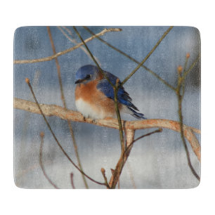 Winter Blaumeise Natur Schneidebrett