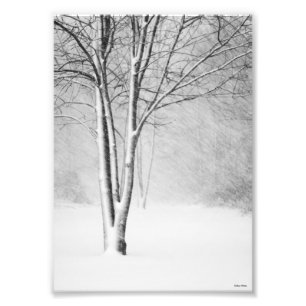 Winter Blizzard Snowy Tree White-Out Abstrakt Fotodruck