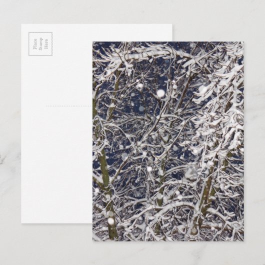 Winter Blizzard Storm Schneebaum Naturfotografie Postkarte (Vorne/Hinten)