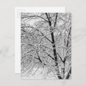 Winter Blizzard Storm Schneebaum Naturfotografie Postkarte (Vorne/Hinten)