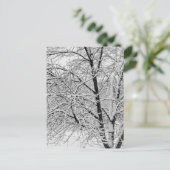 Winter Blizzard Storm Schneebaum Naturfotografie Postkarte (Stehend Vorderseite)