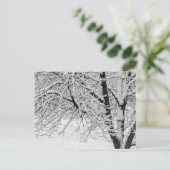Winter Blizzard Storm Schneebaum Naturfotografie Postkarte (Stehend Vorderseite)
