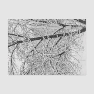Winter Blizzard Storm Schneebaum Naturfotografie Seidenpapier