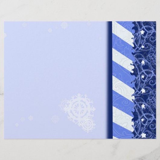 Winter Blue Flyer (Vorne)