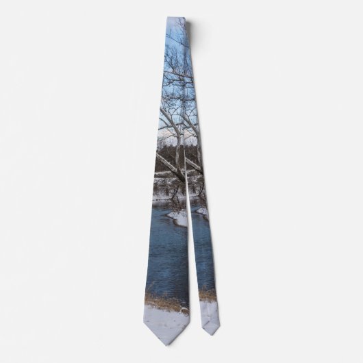 Winter Blue James River Neck Tie Krawatte (Vorderseite)