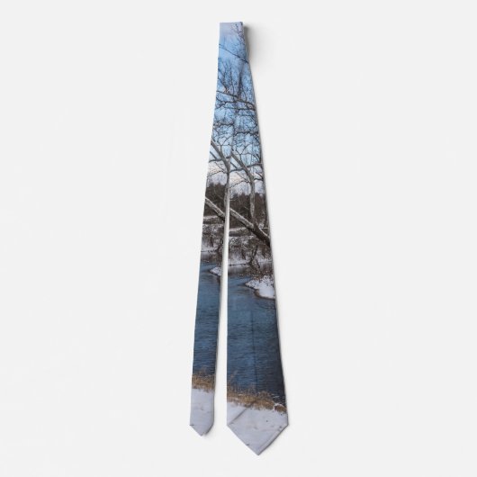 Winter Blue James River Neck Tie Krawatte (Rückseite)