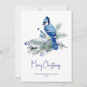 Winter Blue Jay Christmas Feiertagskarte (Vorderseite)