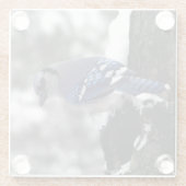 Winter Blue Jay Glasuntersetzer (Rückseite)