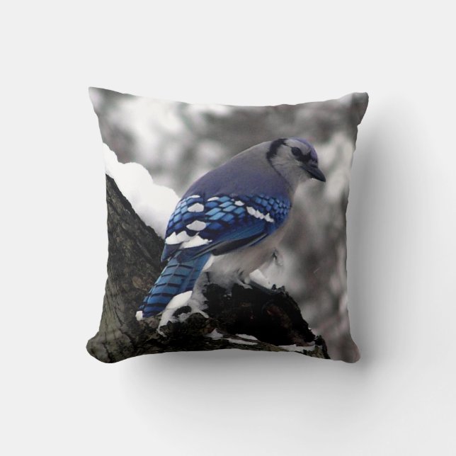Winter Blue Jay Kissen (Vorderseite)
