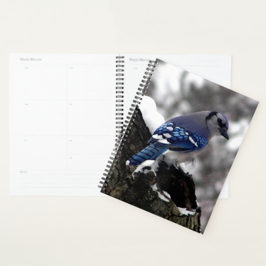 Winter Blue Jay Planer (Anzeige)