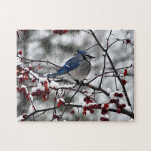 Winter Blue Jay Puzzle