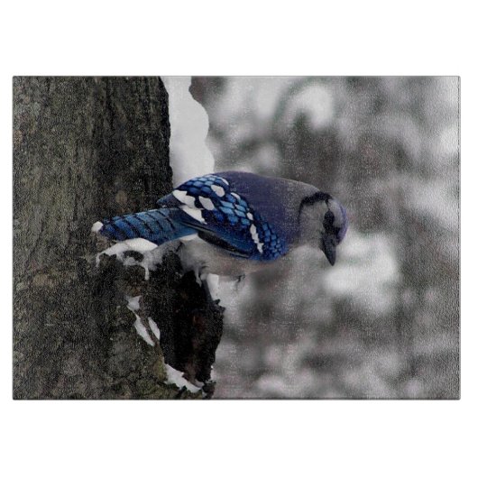 Winter Blue Jay Schneidebrett (Vorderseite)