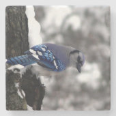 Winter Blue Jay Steinuntersetzer (Vorderseite)