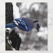 Winter Blue Jay Weinetikett (Einzelnes Label)