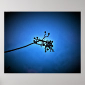 Winter Blue, Poster (Vorne)